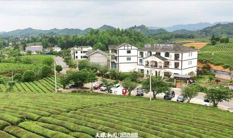 有关于走进茶海湄潭的十二时辰的相关内容(5)