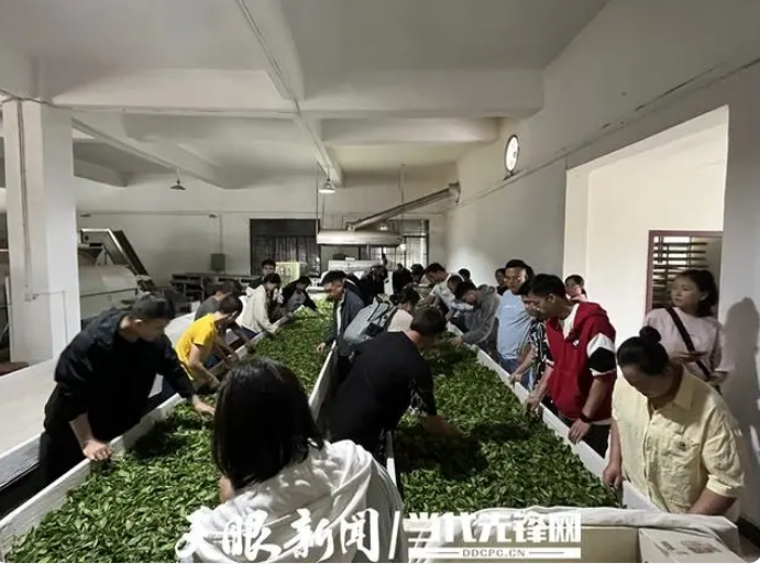 关于打造茶叶加工能手 贵阳贵安农村实用人才带头人培训火热进行中的消息(2)