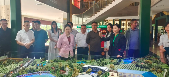 有关于皖闽浙豫四省茶产业考察感慨的资讯(14)