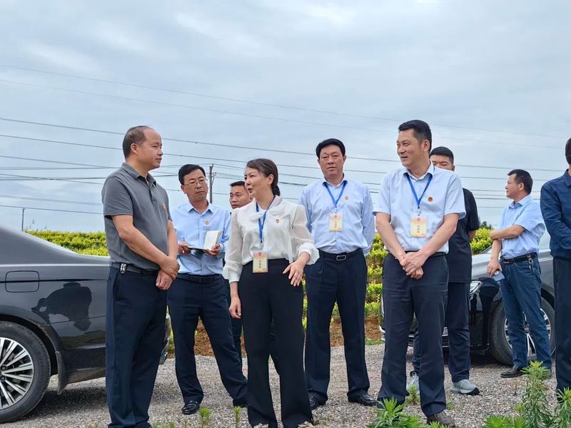 关于大法寺镇茶产业代表小组开展代表行动的信息(2)