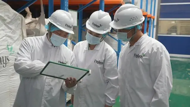 有关于思南：生态茶香飘海外 外贸出口产值达300余万美元的资讯(4)