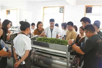 有关于这帮年轻人学炒茶，有奔头！的资讯