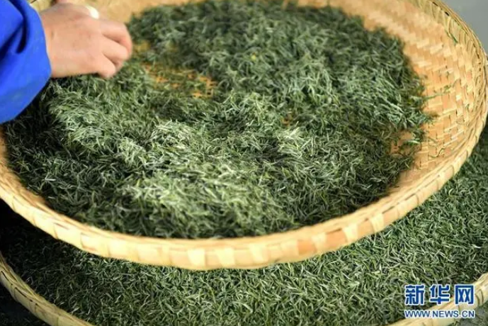 有关于“茶香味”里的父爱的相关信息