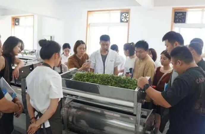 关于助力新生代茶人成长，大师、专家、科技人员齐上阵的信息