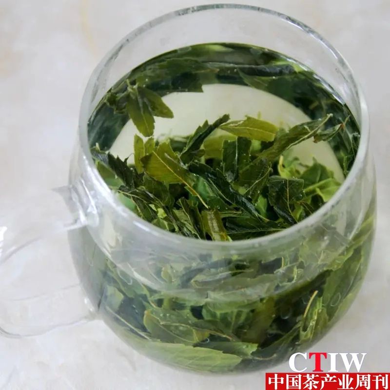 关于靖远：文冠果“茶”亮绿色产业名片的新闻(1)