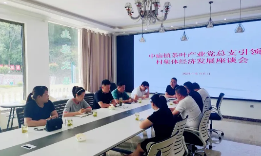 有关于文县中庙镇: 党建引领 助推茶叶产业振兴的资讯(2)
