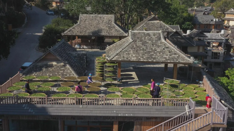 关于澜沧：守护好全球首个茶主题世界文化遗产的新闻(17)