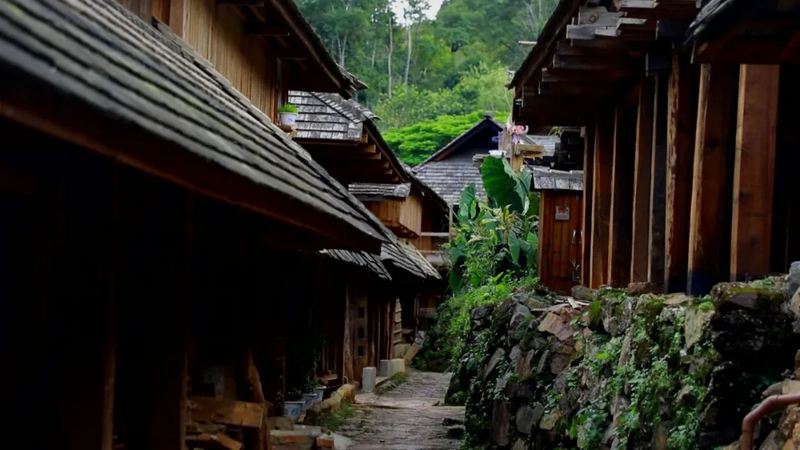 关于澜沧：守护好全球首个茶主题世界文化遗产的新闻(9)