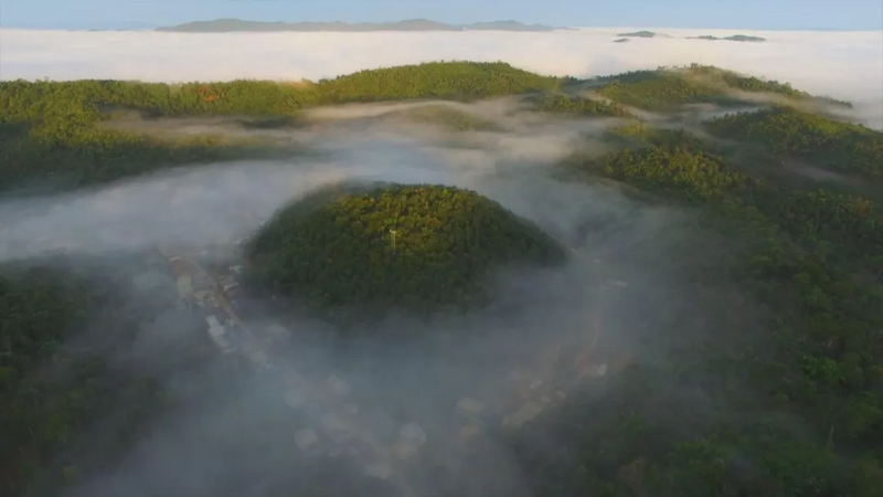 关于澜沧：守护好全球首个茶主题世界文化遗产的新闻(15)