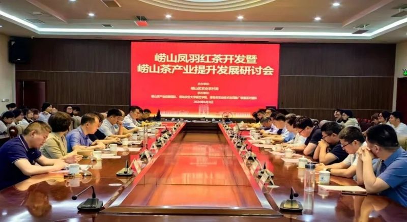 关于崂山凤羽红茶开发暨崂山茶产业提升发展研讨会召开的信息
