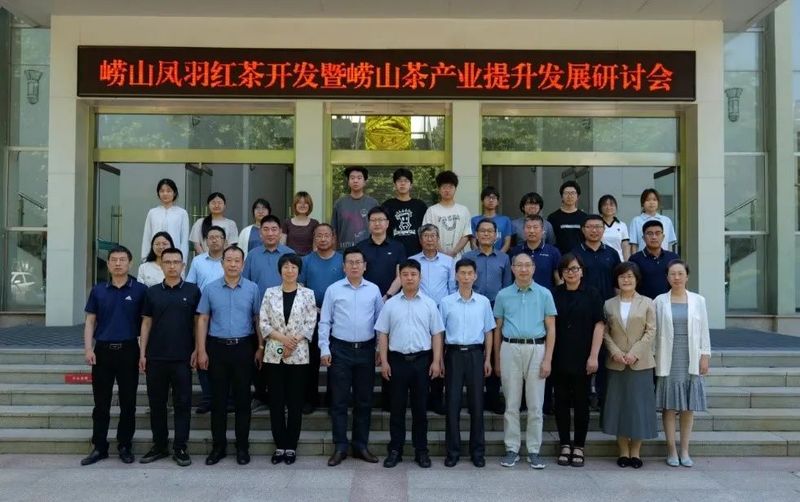 关于崂山凤羽红茶开发暨崂山茶产业提升发展研讨会召开的信息(1)