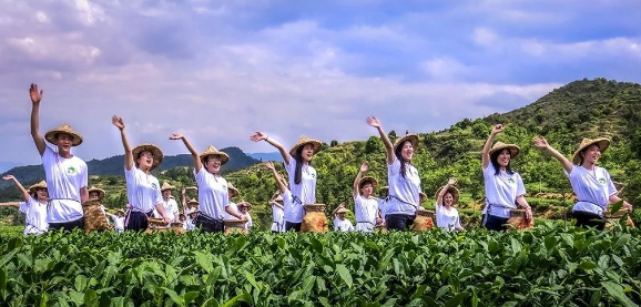 关于海峡两岸美人茶文化交流活动在厦门成功举办的信息(20)