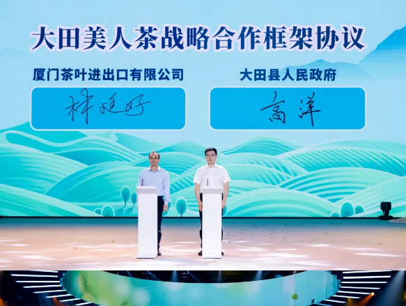 关于海峡两岸美人茶文化交流活动在厦门成功举办的信息(13)