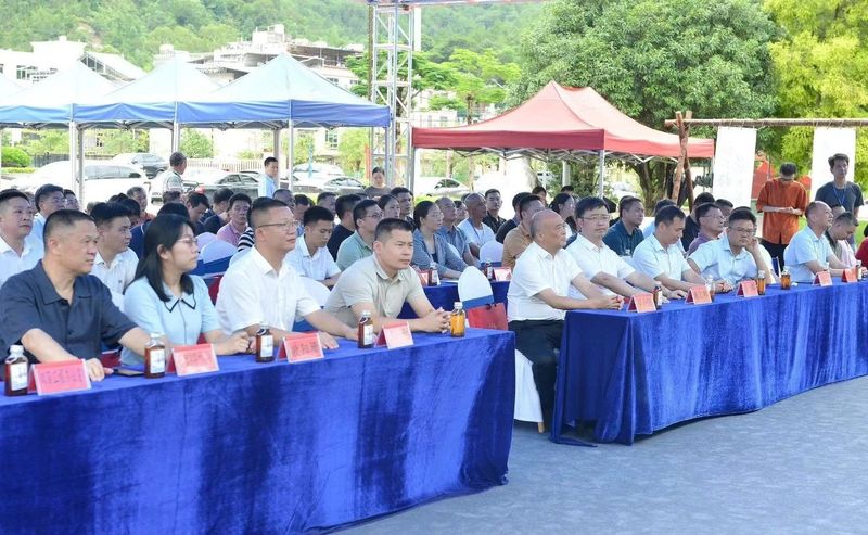 关于连平县成功举办《2024年连平春季（春茶）品鉴大赛暨茶产业高质量发展研讨会》系列活动的新闻