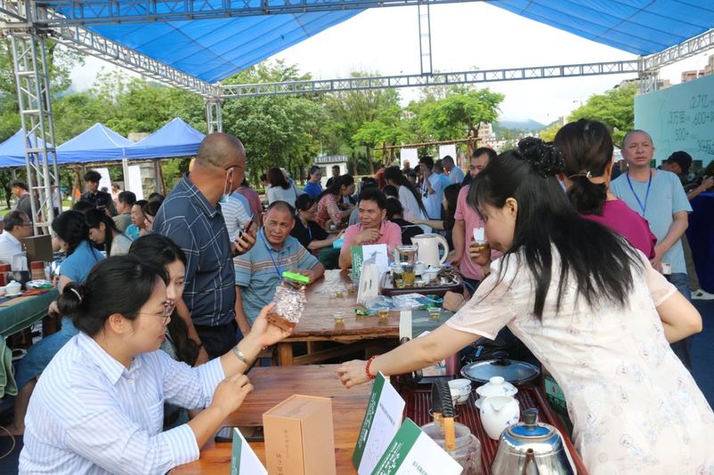 关于连平县成功举办《2024年连平春季（春茶）品鉴大赛暨茶产业高质量发展研讨会》系列活动的新闻(3)