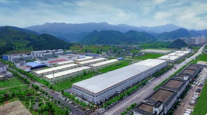 关于铜仁：抹茶全产业链发展助力乡村振兴的新闻