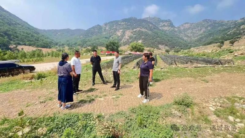 有关于诸城市政协主席王爱民到南湖片区、皇华镇调研茶产业发展工作的相关信息(3)