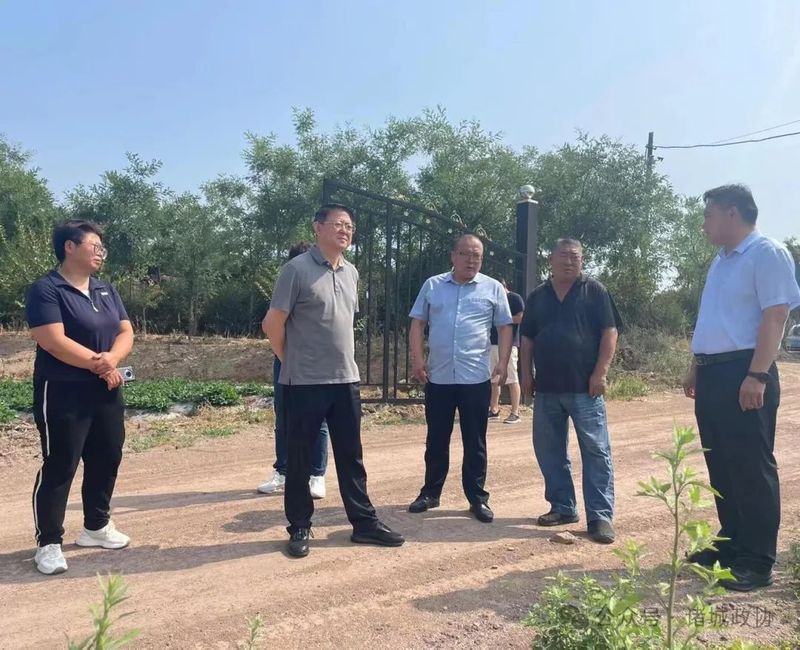 有关于诸城市政协主席王爱民到南湖片区、皇华镇调研茶产业发展工作的相关信息