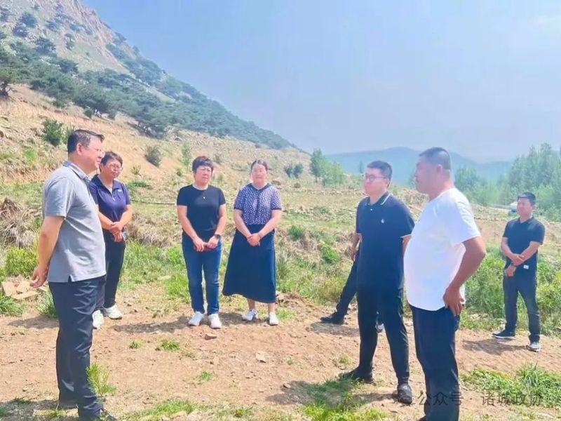 有关于诸城市政协主席王爱民到南湖片区、皇华镇调研茶产业发展工作的相关信息(2)