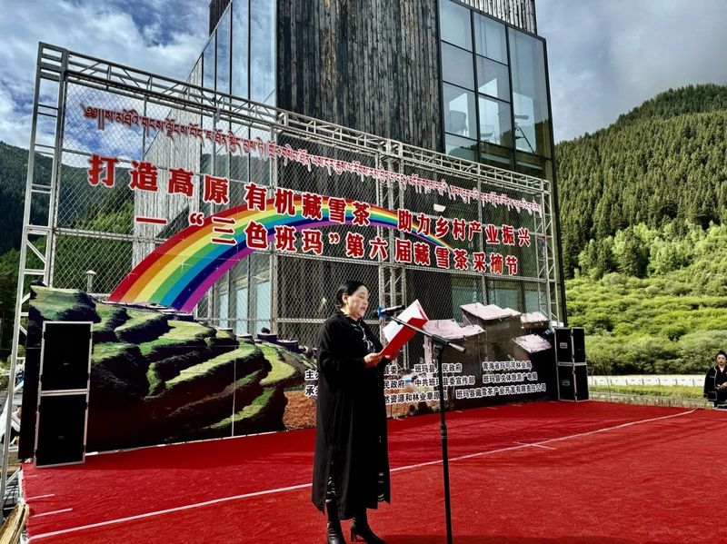 关于班玛县举办“三色班玛”第六届藏雪茶采摘节的信息(3)