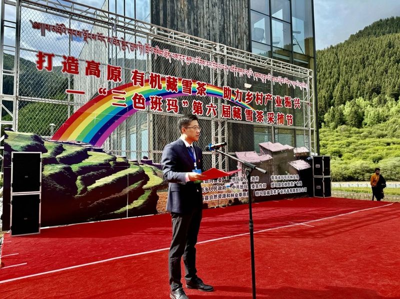 关于班玛县举办“三色班玛”第六届藏雪茶采摘节的信息(2)