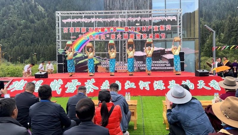 关于班玛县举办“三色班玛”第六届藏雪茶采摘节的信息(5)