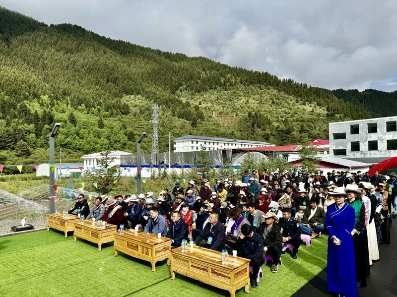 关于班玛县举办“三色班玛”第六届藏雪茶采摘节的信息(4)