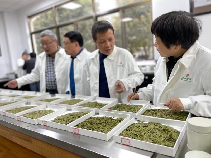 有关于茶的情怀，筑梦他的第二故乡 ——记新新昌茶人黄诚的新闻(9)