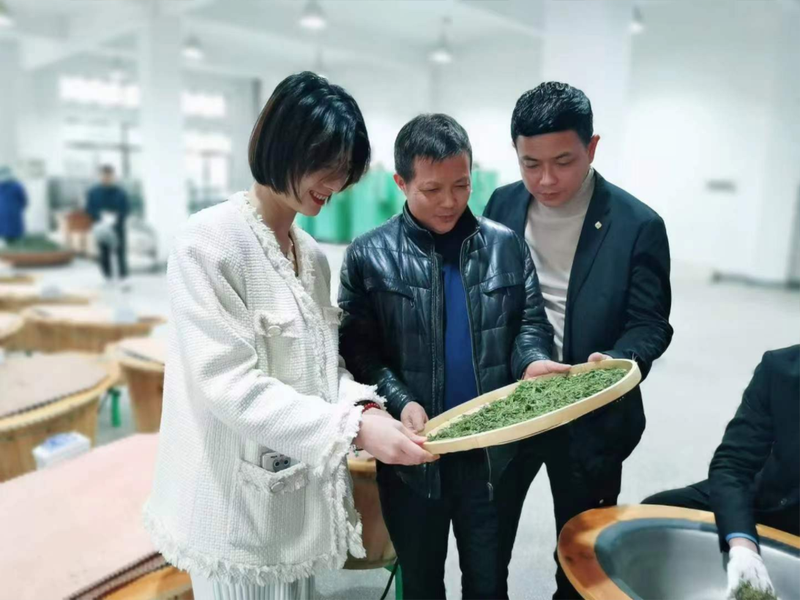 有关于茶的情怀，筑梦他的第二故乡 ——记新新昌茶人黄诚的新闻(1)