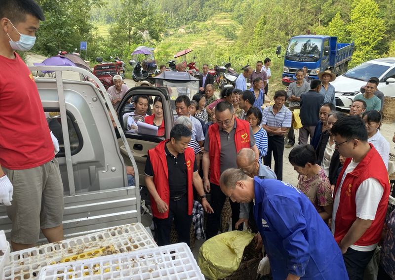 有关于安康汉阴：苏陕“联姻”共结产业“硕果”的新闻(3)