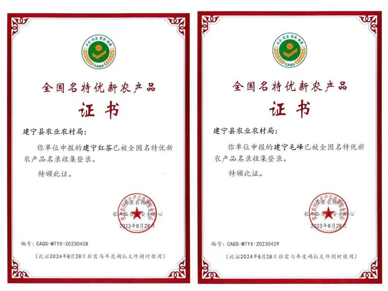 关于再获佳绩!建宁县茶产业提质增效显成果的最新消息(6)