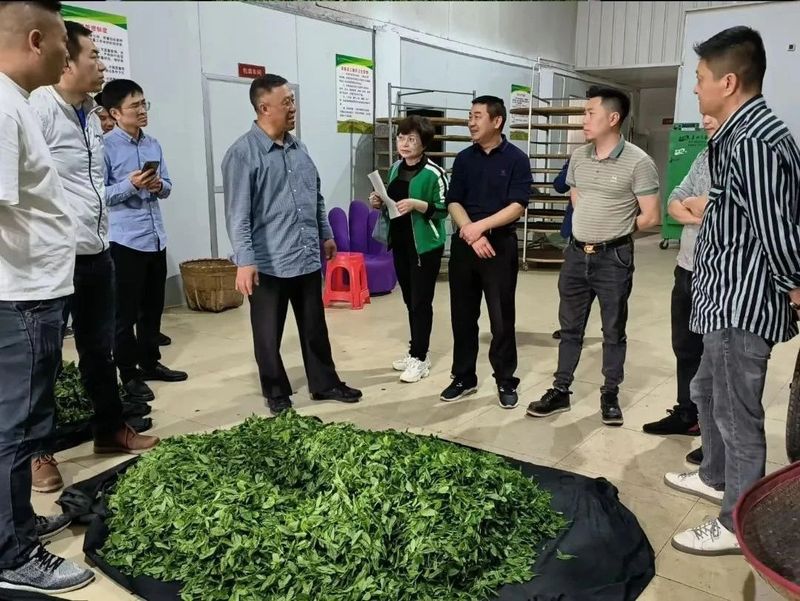 关于再获佳绩!建宁县茶产业提质增效显成果的最新消息(3)