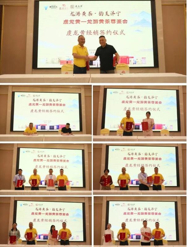 关于龙游黄茶·韵美济宁  虔龙黄——龙游黄茶尊鉴会的内容(11)