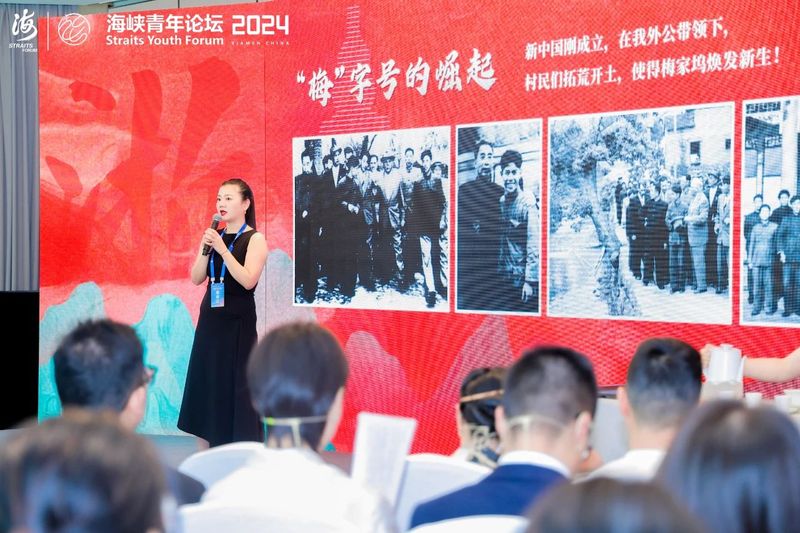 关于海峡青年论坛,不负青绿 守正“筑”梦—胡璧如的新闻(3)