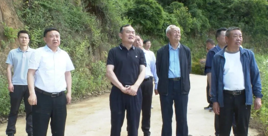 关于赵哲到郧阳区调研茶产业发展情况的信息