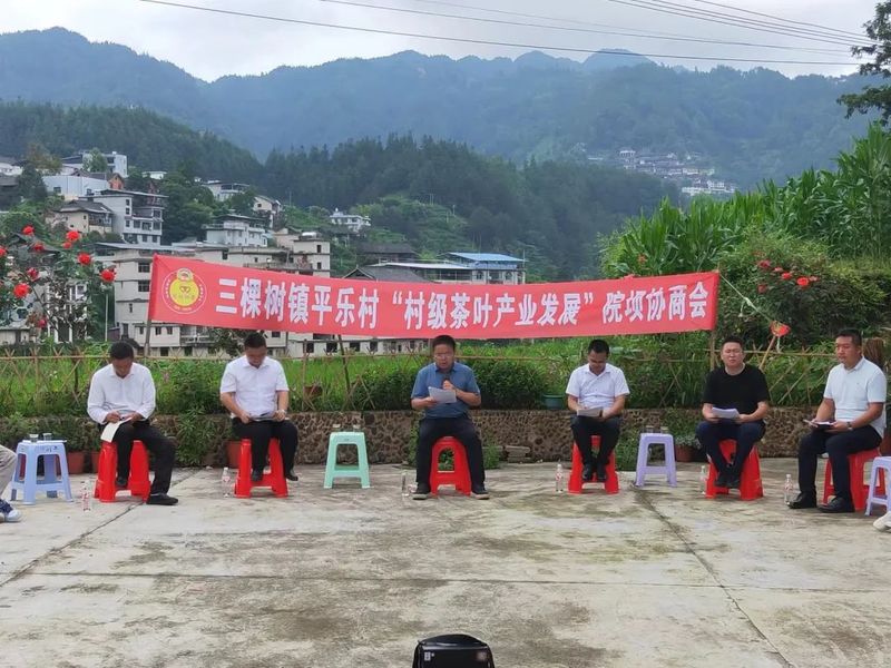 有关于凯里市平乐村：以院坝协商促村级茶叶产业规范管护的信息