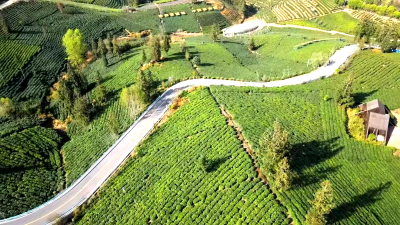 关于贵州普安：深耕茶旅融合，写意“诗和远方”的新闻