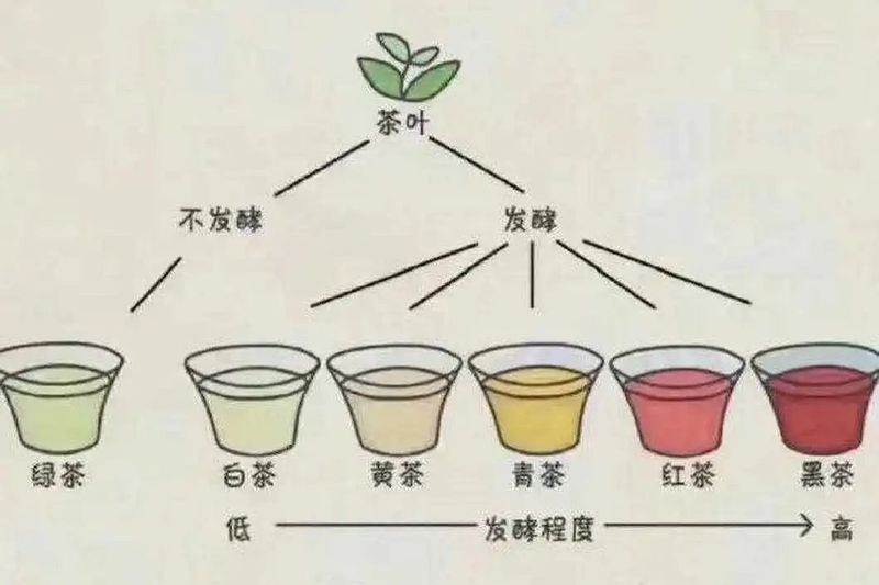 关于六月艳阳天，适合喝的湖北冷泡茶，有这些的相关信息(11)
