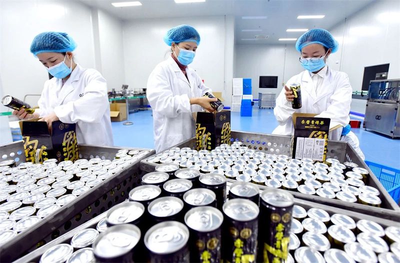 关于六月艳阳天，适合喝的湖北冷泡茶，有这些的相关信息(4)