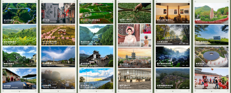 关于高高兴兴逛展会，欢欢喜喜喝喜茶——2024国茶创新暨新茶饮新名茶计划启动会成功举办的内容(5)