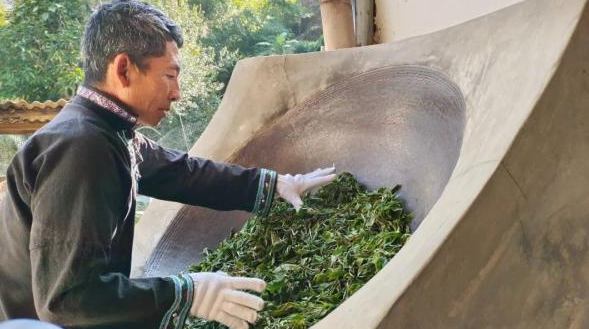 有关于普洱宁洱：小马哥的“小锅茶”的相关内容(3)