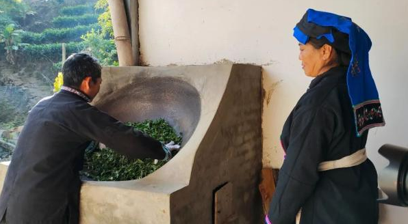 有关于普洱宁洱：小马哥的“小锅茶”的相关内容