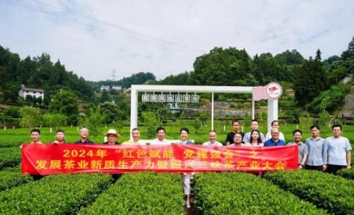 关于2024年“红色赋能 党建强会”之发展茶业新质生产力暨振兴三峡茶产业大会在宜昌举办的资讯(1)