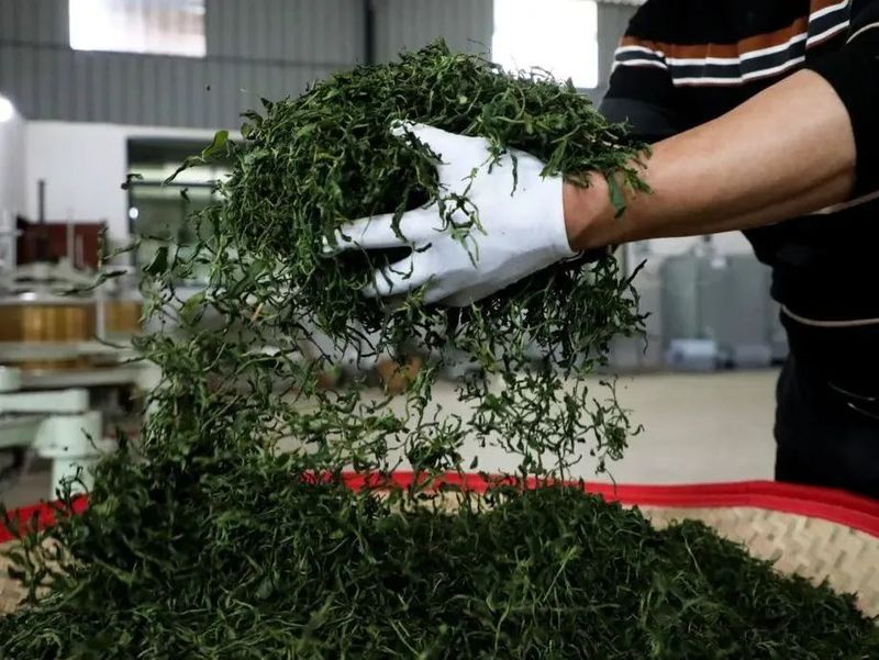 关于义都镇：美丽庭院+茶产业 ，“筑巢引凤”催生美丽经济的新闻(5)