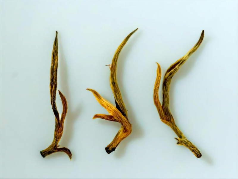 有关于紫金蝉茶获“中茶杯”茶王称号的新闻(1)