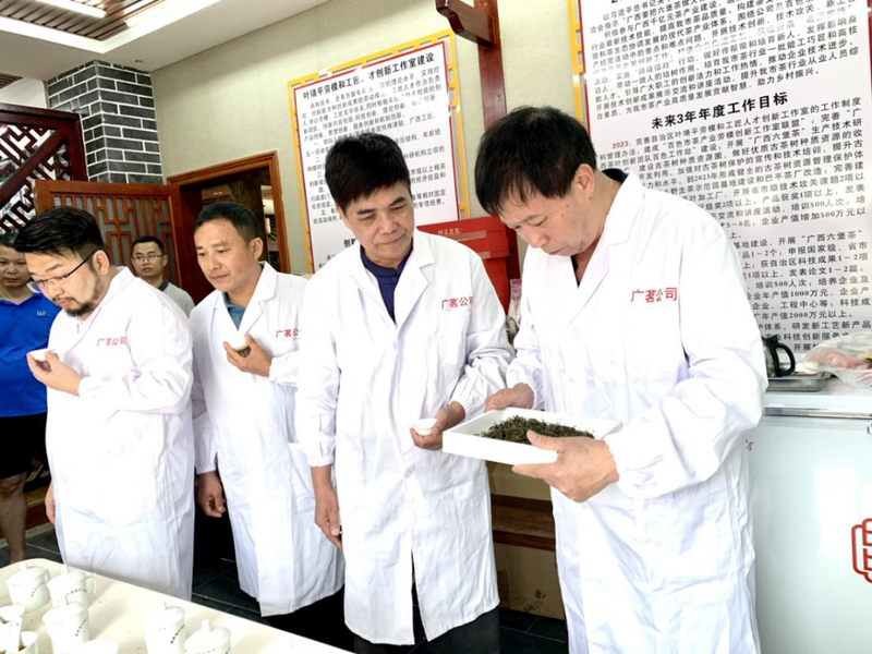 有关于中国制茶大师刘同意等专家莅临百色助力茶产业发展的最新消息(1)