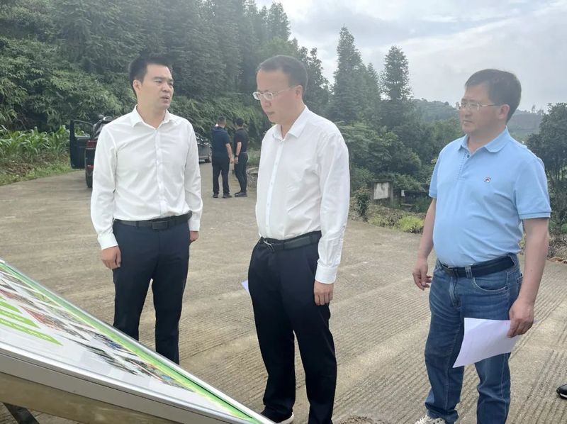 关于何胜伟调研茶产业高质量发展工作的最新消息(1)