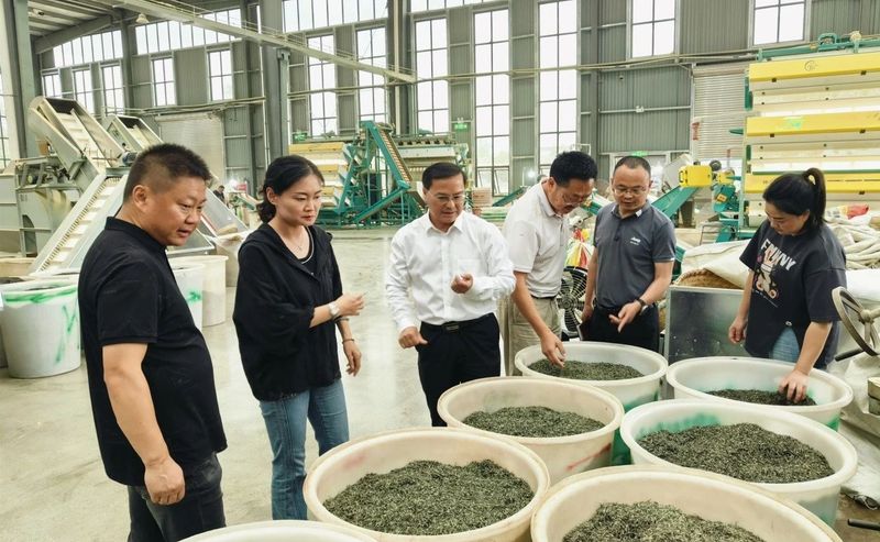 有关于区政协主席倪林走访调研茶企的资讯