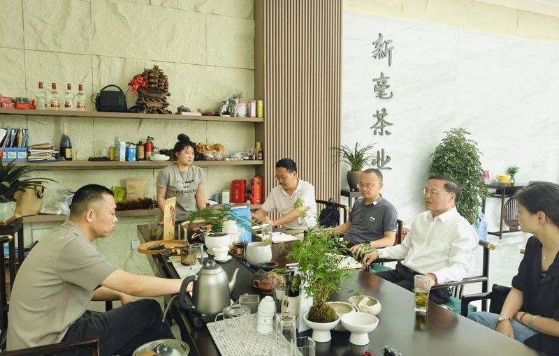 有关于区政协主席倪林走访调研茶企的资讯(1)