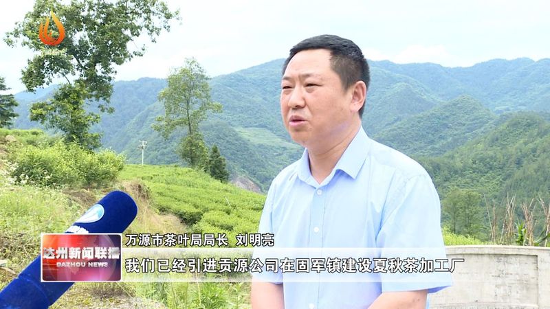 有关于万源：发展夏秋茶 “废叶”变“金叶”的资讯(5)